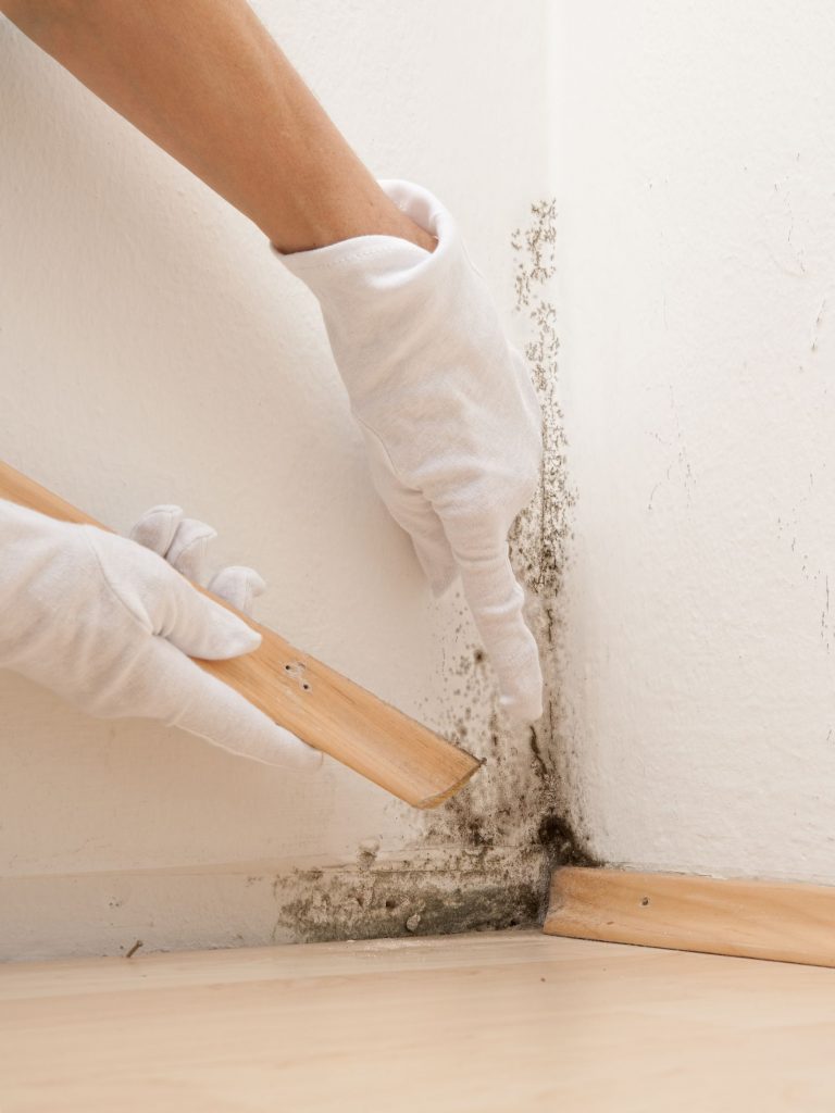 Asbestos Removal CT