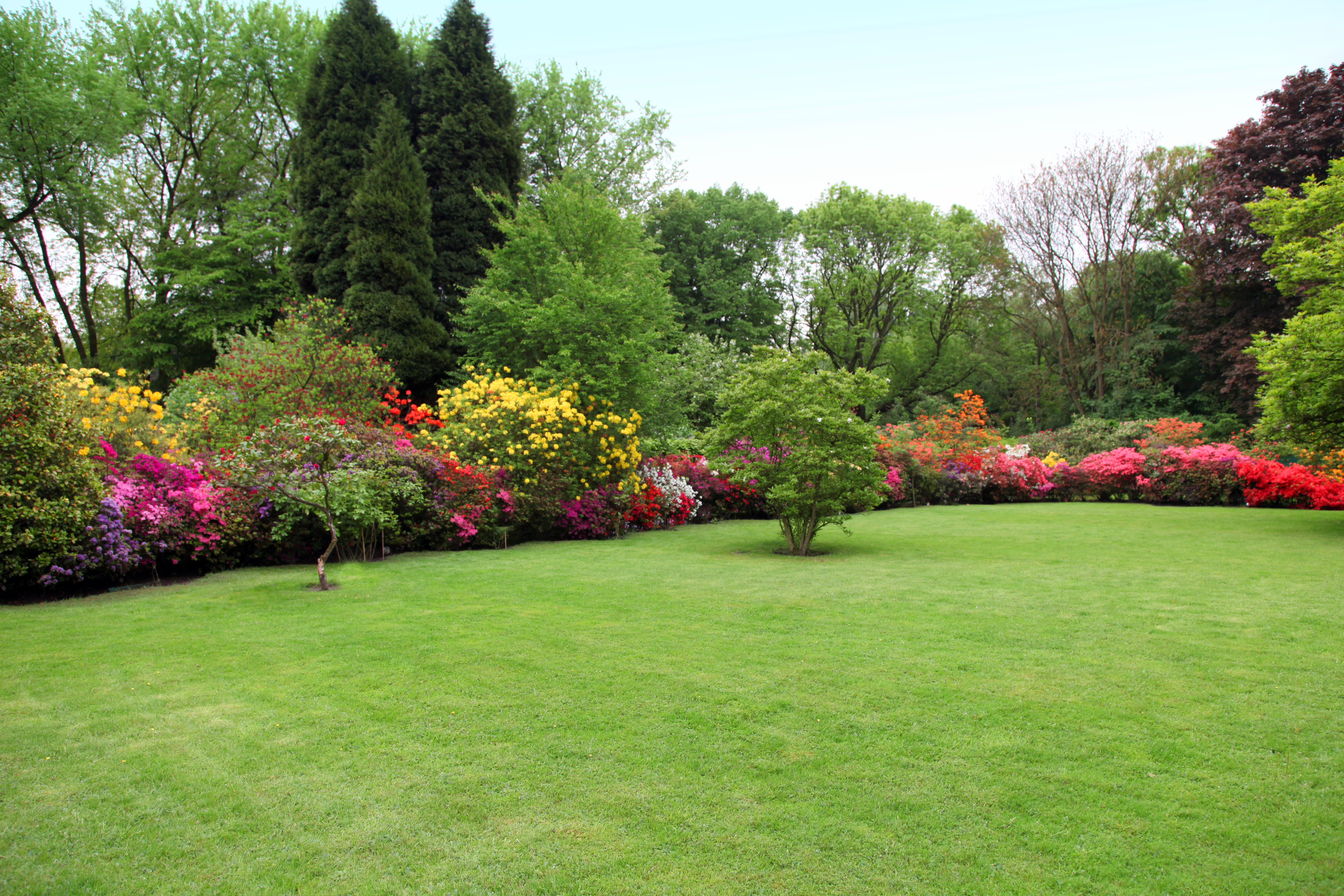 Lawn Care Southlake TX
