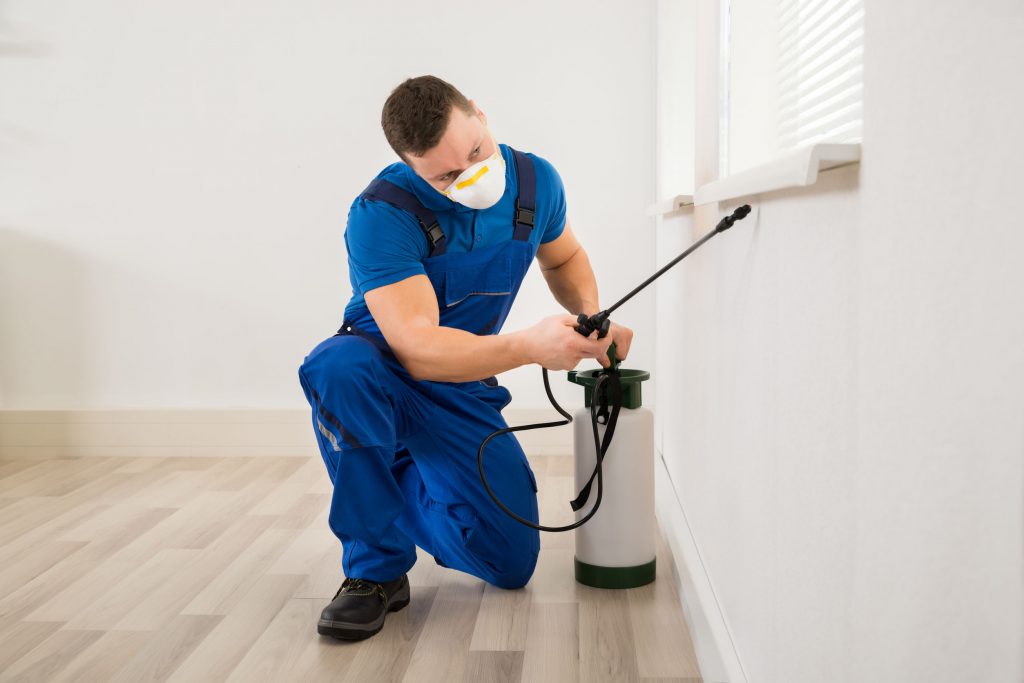 exterminators Brooklyn