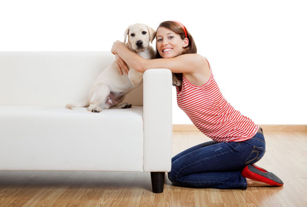 Get Best Pet Grooming Services in Everett