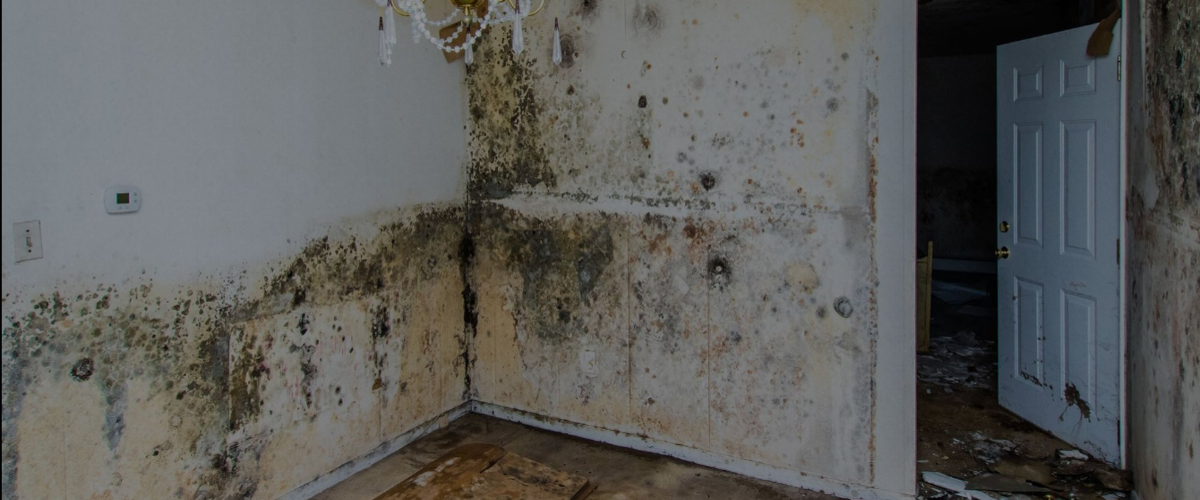 Drywall Repair Roswell NM