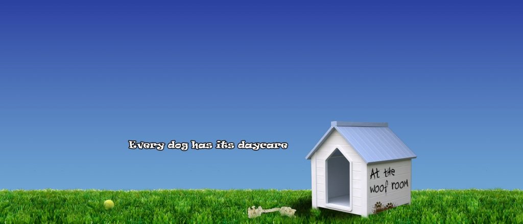 Dog Sitting Services Brooklyn Park MN