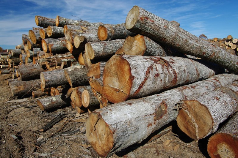 Insect Free Kiln Dried Fireood NJ By FrontierFirewoodnj.com