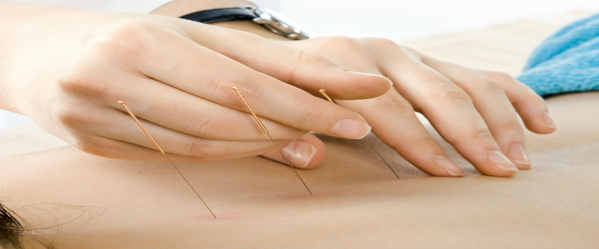 Choose The Right Traditional Chinese Medicine University in San Jose CA