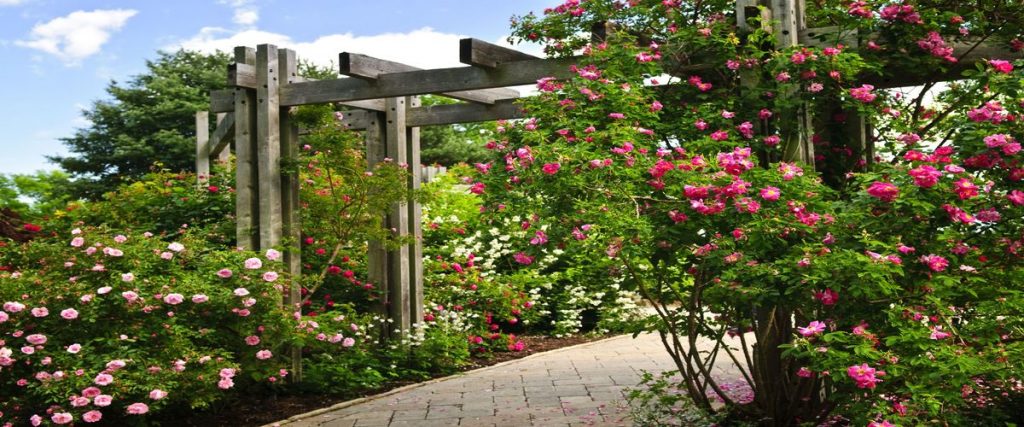 Lawn Care Tulsa