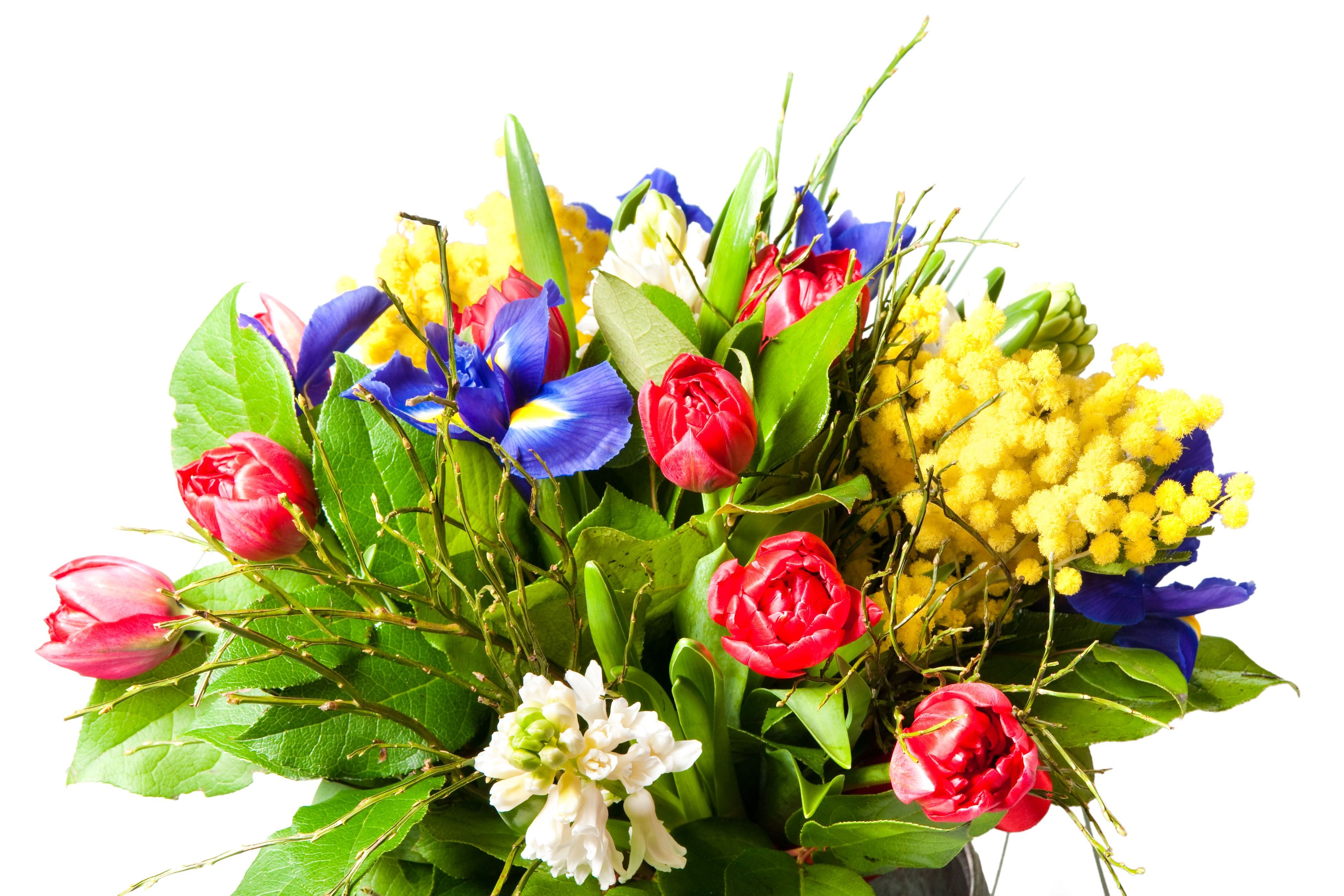 Flower Shop London ON