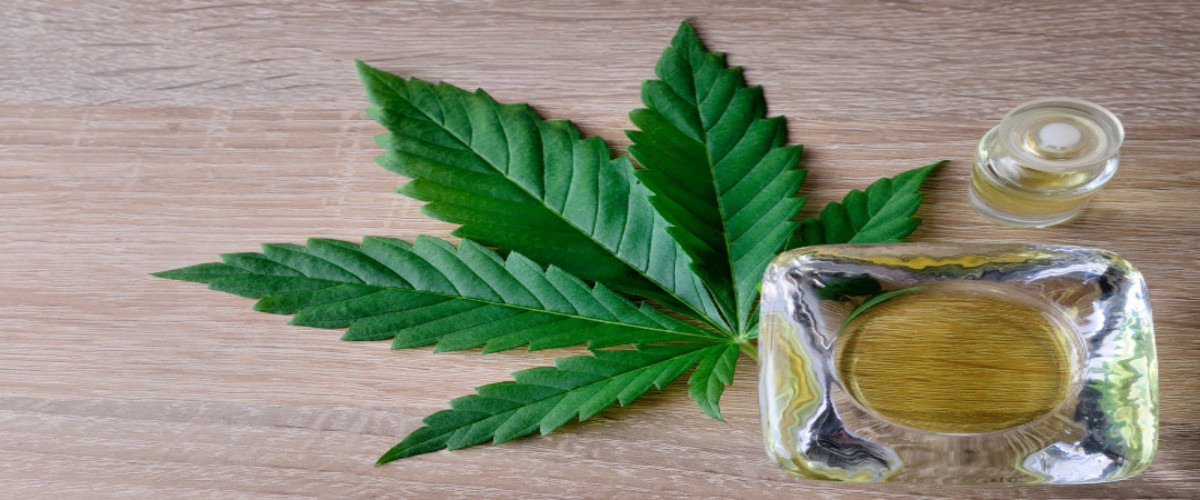 CBD Oil and The Benefits