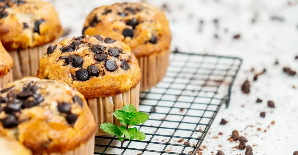 Bakery Chocolate Chip Muffins