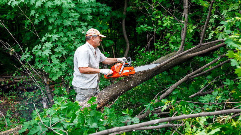 O’Connors Tree Services – Tree Services In Langwarrin