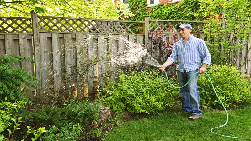 Landscaping Plymouth MN