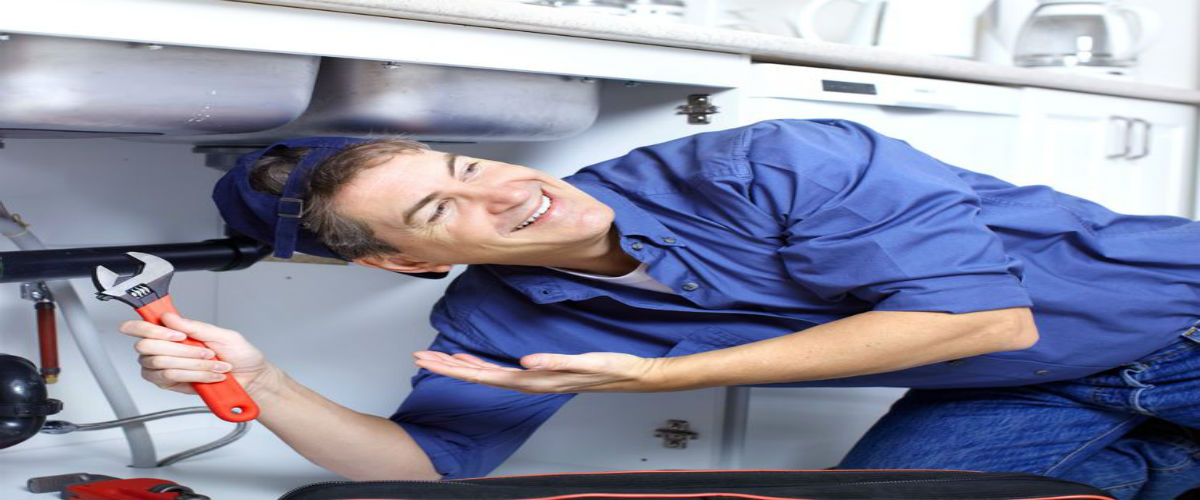 Plumber Service Indianapolis IN