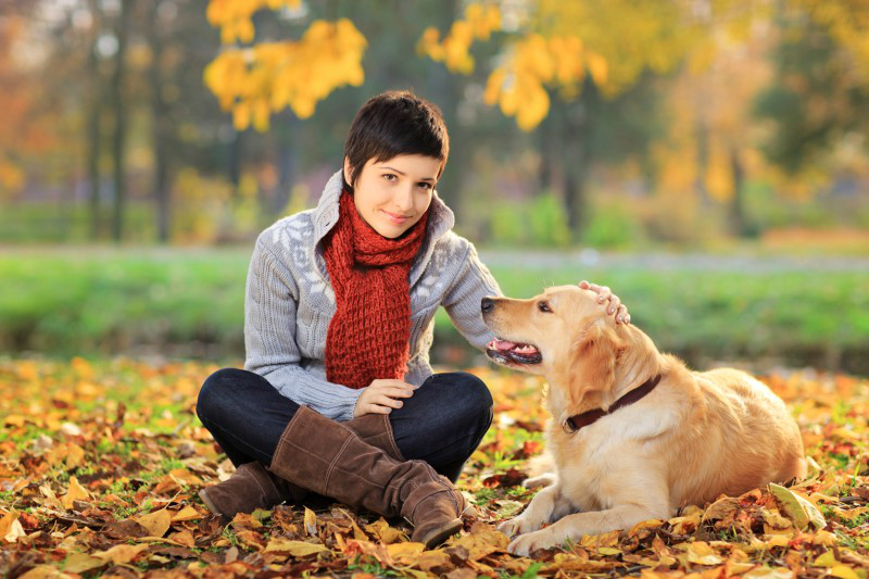 Dog Boarding Services In Manhattan