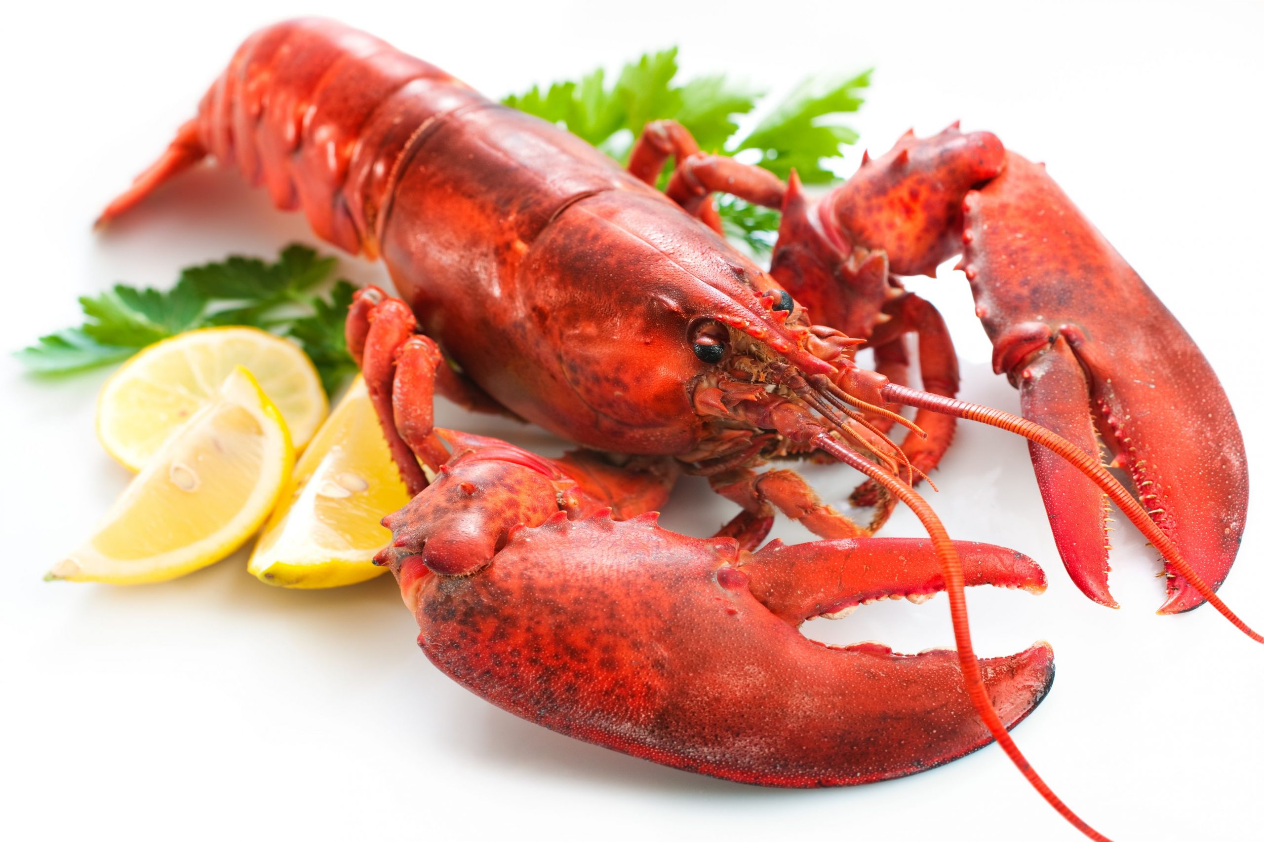 Get Delicious Fried Seafood In Louisiana In Louisiana At Crawfish Country Catering.
