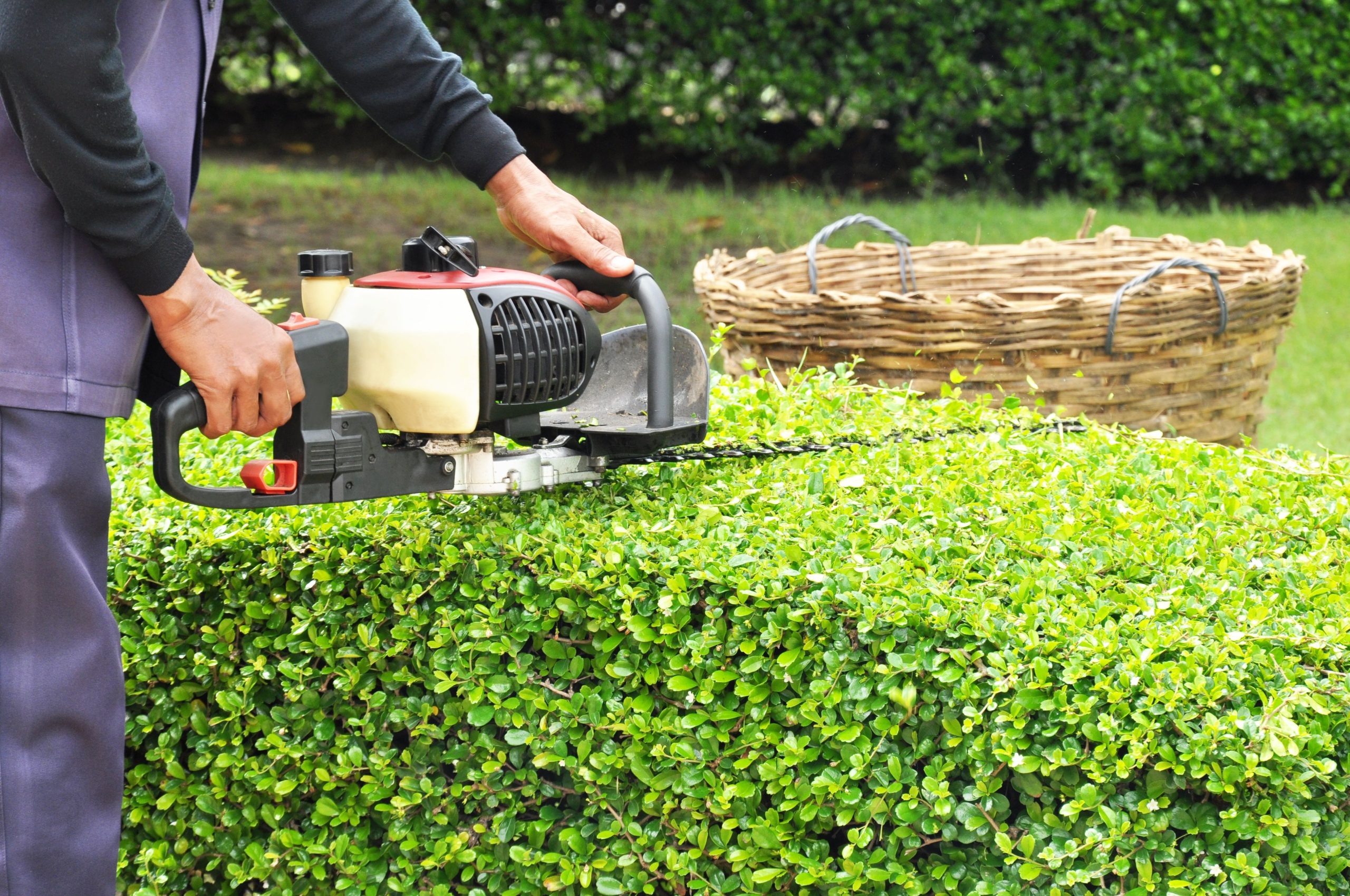 Prairiecoast Equipment Offers Lawn Mowers In Prince George