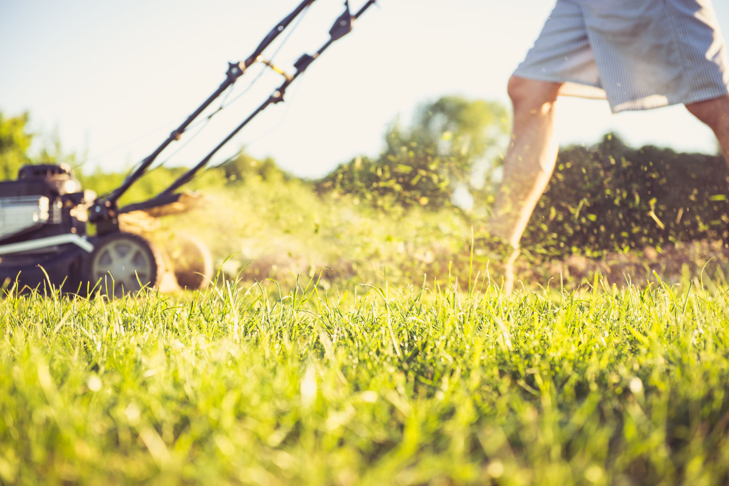 Contact Prairiecoast Equipment For Lawn Mowers In Kelowna