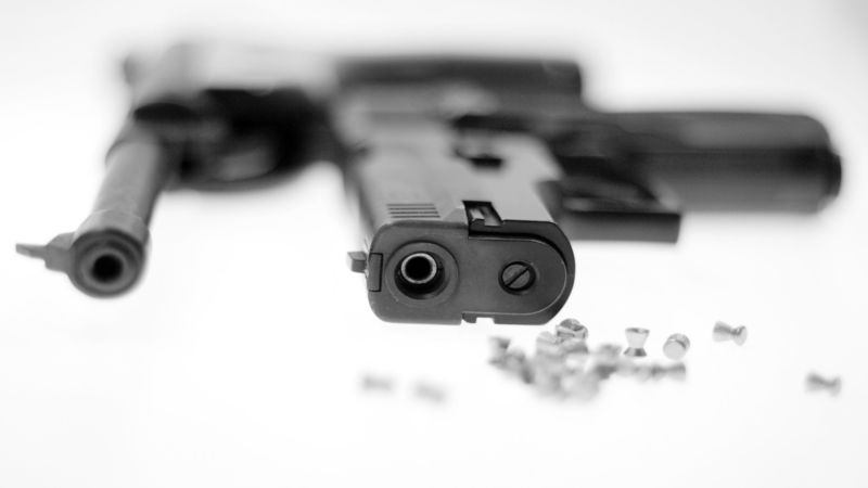 Call WGS Guns Wholesale For Order Wholesale Guns