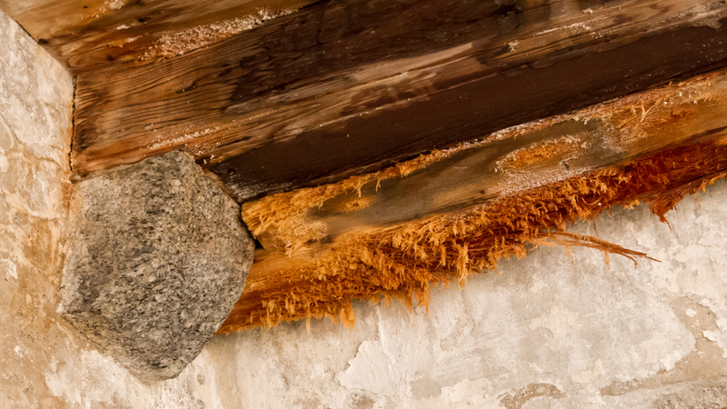 Water Damage Cleanup Omaha NE