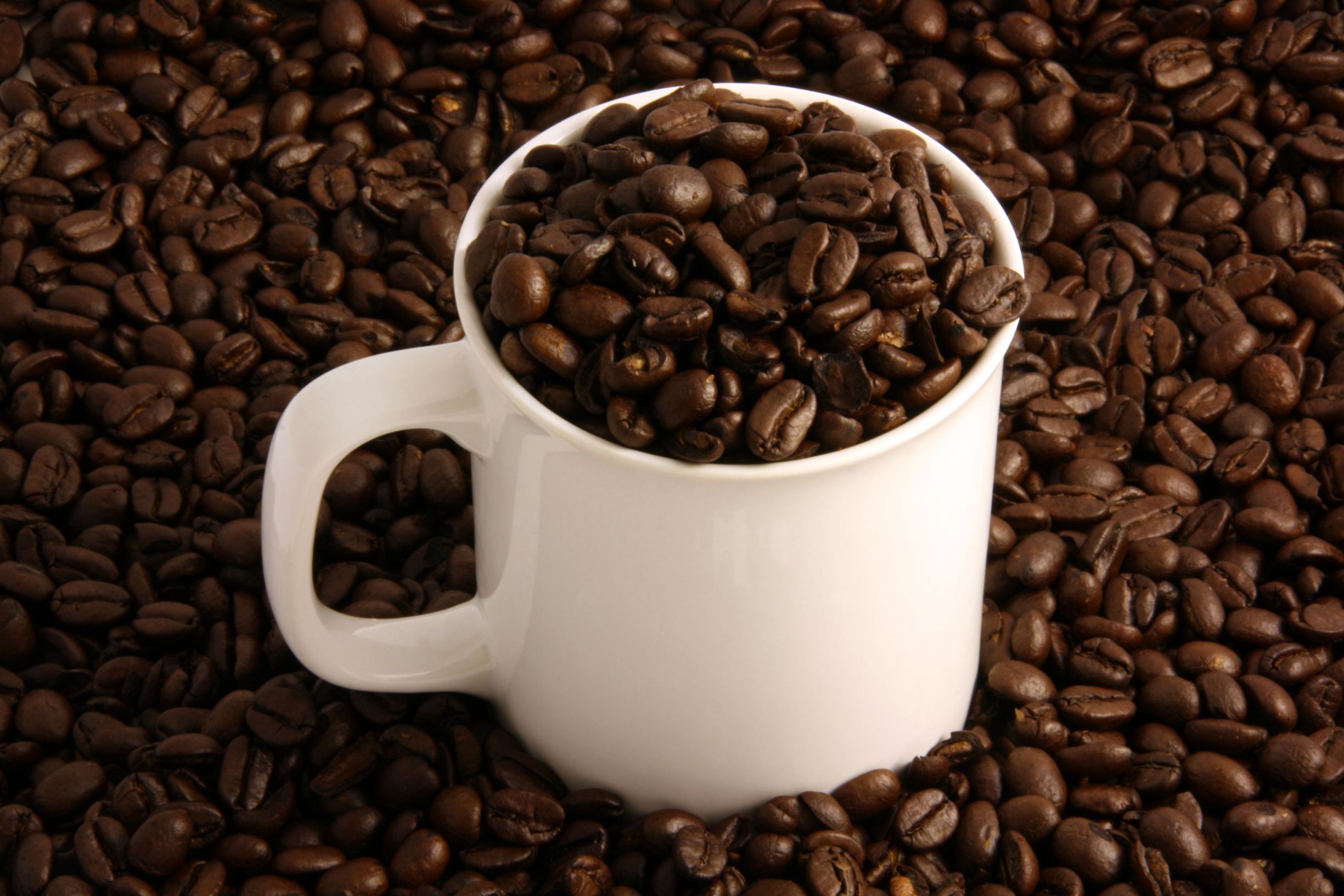 Instant Espresso Powder