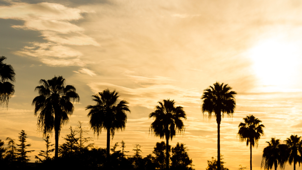 Estate Planning Law Firm Orange CA